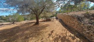Landgut in Casco Urbano. Parcela de 23.700m2 ideal para construir, ubicada en termino vin