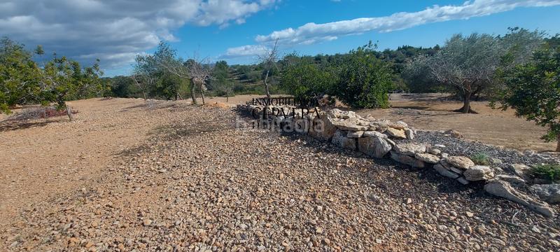 Foto 0abcdd42-b477-496f-8706-3c99ef7050a1. Rural plot in Casco Urbano Vinaròs