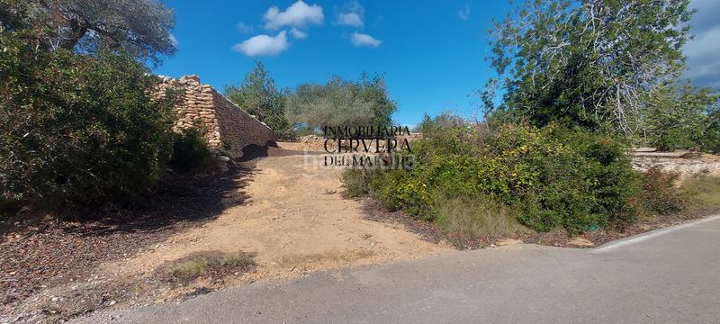 Foto 0c5c2333-89f4-4711-bc33-9ad8b61d1d6f. Rural plot in Casco Urbano Vinaròs