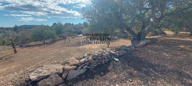 Foto 119f0c37-4351-4100-9a85-71ac47172d2d. Rural plot in Casco Urbano Vinaròs