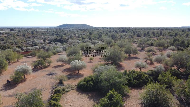 Foto 25a616b0-07b2-423a-a065-884566772f61. Rural plot in Casco Urbano Vinaròs