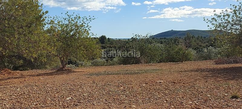 Foto 271b2444-e9e7-4373-b04b-afc1e2897635. Rural plot in Casco Urbano Vinaròs