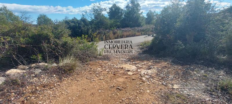 Foto 33a73757-31b0-4aaa-bc78-0b32be763408. Rural plot in Casco Urbano Vinaròs