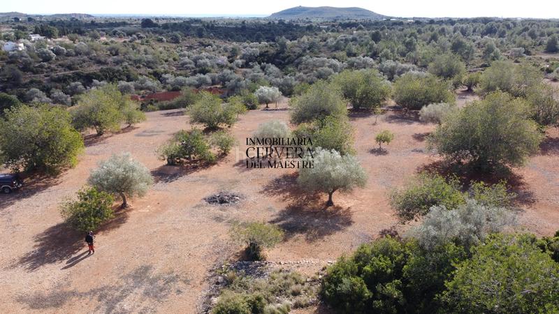 Foto 3c235dbd-eb5e-4c39-bbaf-a9ed1fd67262. Rural plot in Casco Urbano Vinaròs