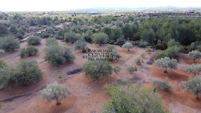 Foto 3fc8e670-1c44-4e48-ad8b-99c023e4714e. Rural plot in Casco Urbano Vinaròs