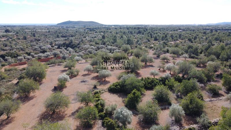 Foto 53039f2e-008e-4b31-b699-1a6d223e1bda. Rural plot in Casco Urbano Vinaròs