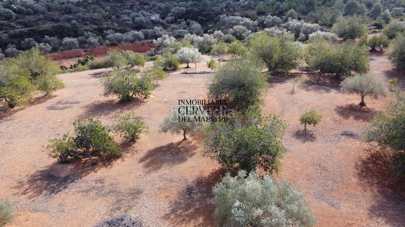 Foto 53aa8135-41e3-47af-b90c-b0998de1b976. Rural plot in Casco Urbano Vinaròs