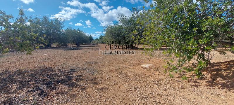 Foto 5d108dd1-853f-4164-89a9-2a4d7817554e. Rural plot in Casco Urbano Vinaròs