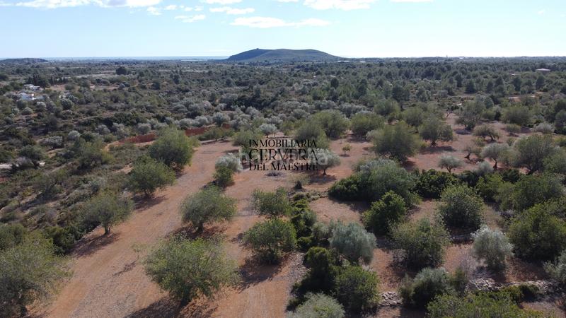 Foto 656b7840-3f52-4737-a17a-9d5809957a00. Rural plot in Casco Urbano Vinaròs