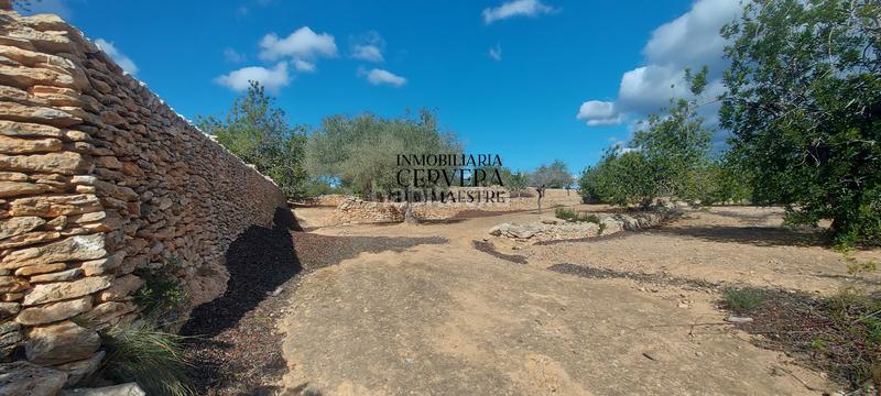 Foto 6adea271-532e-40e2-ad4a-a0b8606529cc. Rural plot in Casco Urbano Vinaròs