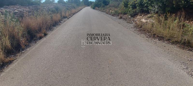 Foto 6bbdb059-b4f1-4431-a389-cf9807df8133. Rural plot in Casco Urbano Vinaròs