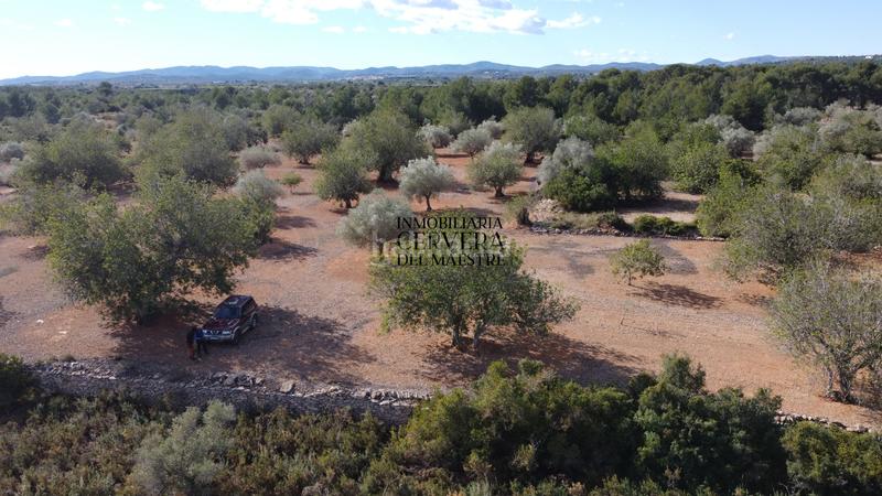 Foto 6be06090-dc89-458c-a37d-cc05190d9083. Rural plot in Casco Urbano Vinaròs