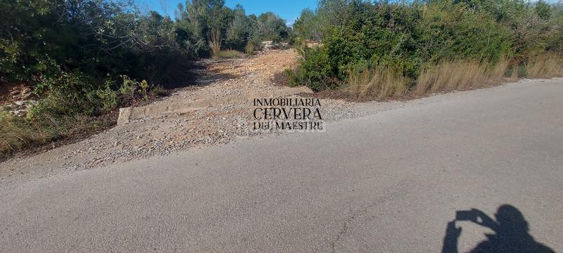 Foto 6d0c04af-8e16-470c-978f-fec5a3f7fa21. Rural plot in Casco Urbano Vinaròs