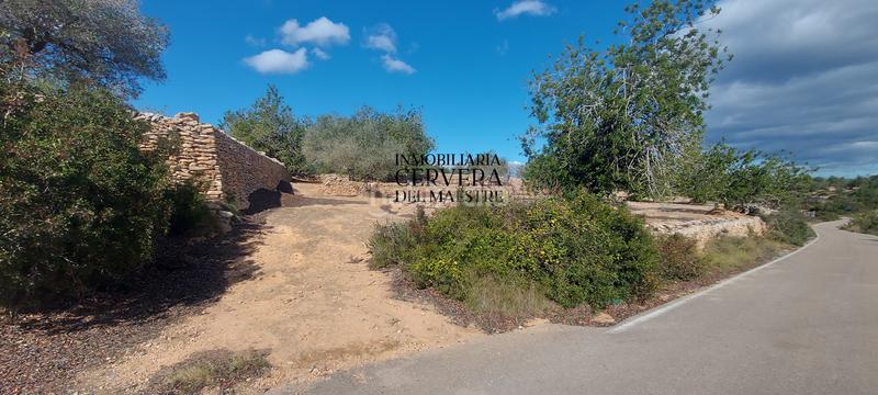 Foto 6d838bec-4dfb-4a80-a940-09a056a65881. Rural plot in Casco Urbano Vinaròs