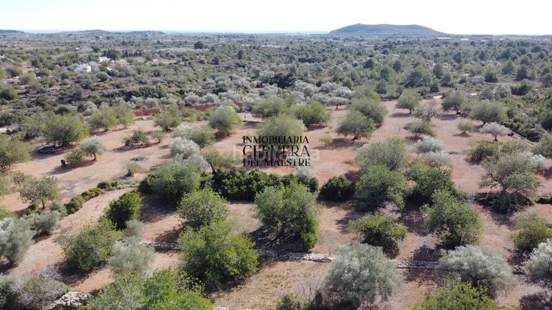 Foto 7074e34b-32ea-4911-a79f-41738e0c195f. Rural plot in Casco Urbano Vinaròs