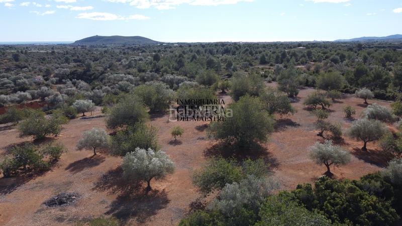 Foto 795d7a81-9a29-4b90-8551-629f49916ed0. Rural plot in Casco Urbano Vinaròs