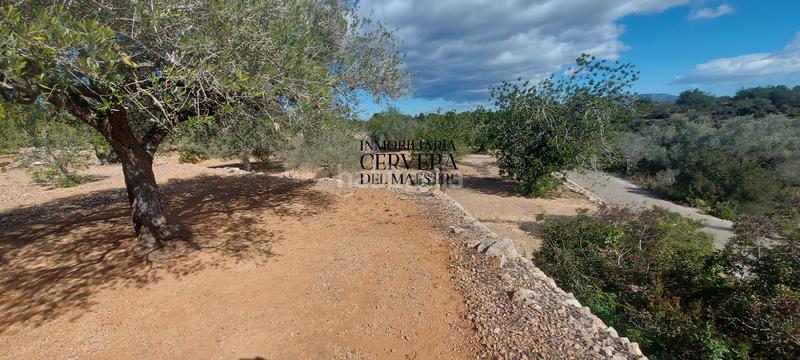 Foto 7e3106f3-acd3-4f38-8db0-33e948afc3f0. Rural plot in Casco Urbano Vinaròs