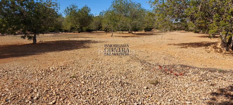 Foto 7e479fa3-97bc-44af-8b17-9d3a7a67c684. Rural plot in Casco Urbano Vinaròs