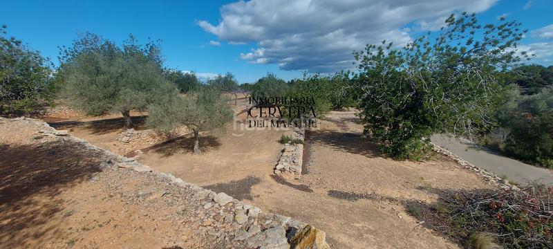 Foto 7eaba040-600b-4cb9-8377-59d27baf5ac8. Rural plot in Casco Urbano Vinaròs