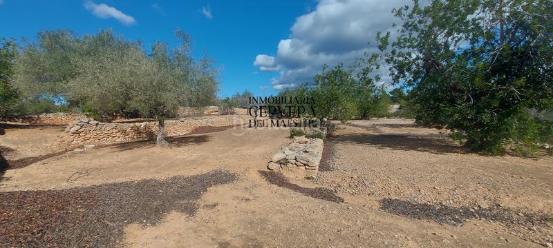 Foto 85bc6cff-cc8c-4712-9de1-50dc8952d261. Rural plot in Casco Urbano Vinaròs