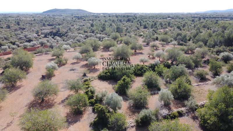 Foto 8b08145e-c9e4-4854-810d-7270c0cdeabe. Rural plot in Casco Urbano Vinaròs