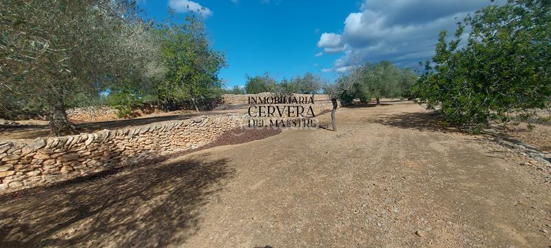 Foto 950a0205-642e-44bd-a919-ad1de17e6229. Rural plot in Casco Urbano Vinaròs