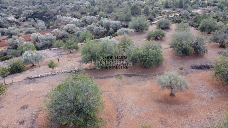 Foto 95a62411-aa0c-41e1-a466-e5684da40823. Rural plot in Casco Urbano Vinaròs