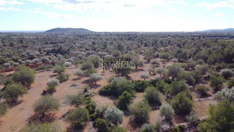 Foto 987fdeaa-0825-4005-a8d0-2fb9ff6c7b16. Rural plot in Casco Urbano Vinaròs