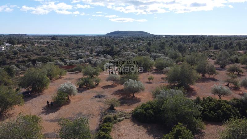 Foto 9b78a19d-4d9f-46e9-9483-a94b51c1cccb. Rural plot in Casco Urbano Vinaròs