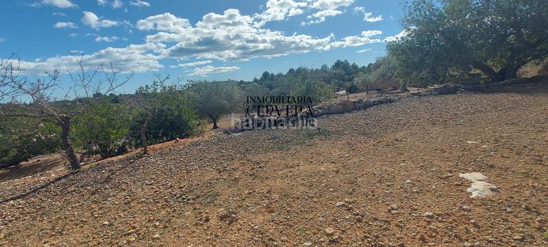 Foto b288550c-1f11-44ae-92a6-7c3bfdb4339c. Rural plot in Casco Urbano Vinaròs