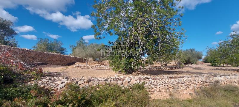 Foto b36b84b1-8369-40b8-9b45-2bdc032b986d. Rural plot in Casco Urbano Vinaròs