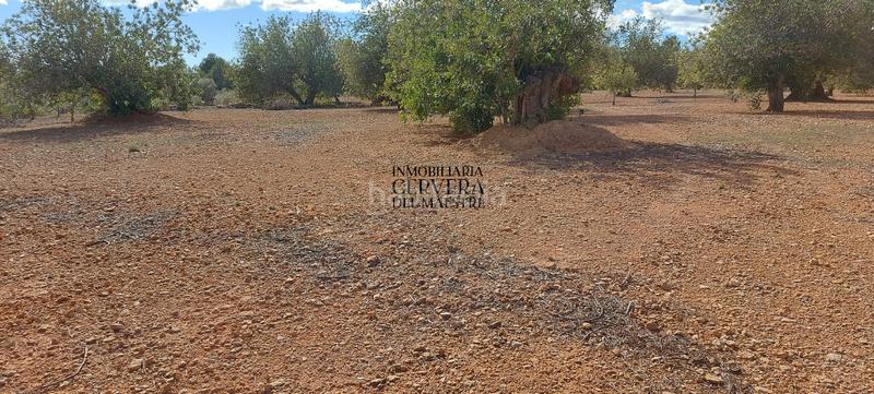 Foto b3a0ccc2-3aac-4344-a559-304a5e683b2e. Rural plot in Casco Urbano Vinaròs