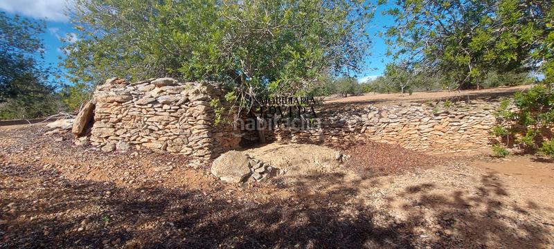 Foto b8b55cc2-585c-4e9a-91c6-59ffbd392e17. Rural plot in Casco Urbano Vinaròs