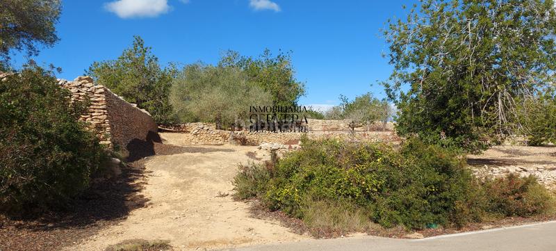 Foto cbba4bcf-d801-4904-b487-96356745f3a0. Rural plot in Casco Urbano Vinaròs