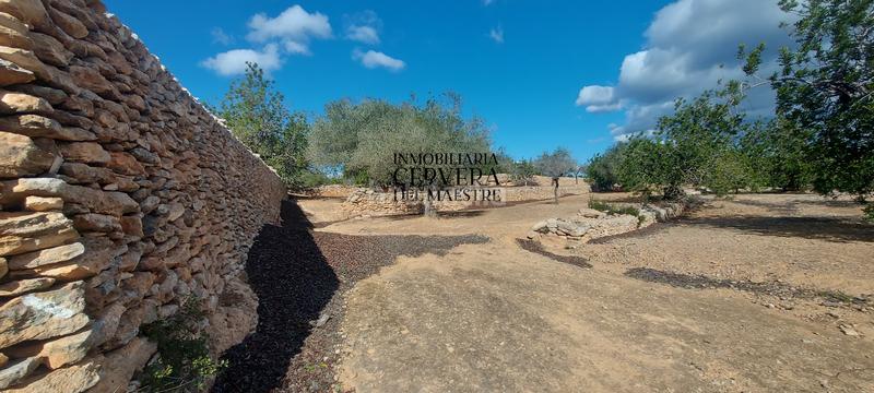 Foto e611f7e2-ee4b-43e6-bb30-a30d7f0004f1. Rural plot in Casco Urbano Vinaròs