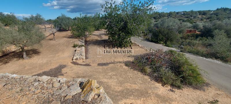 Foto ef994752-01c3-4f8a-b340-3a876c703a78. Rural plot in Casco Urbano Vinaròs