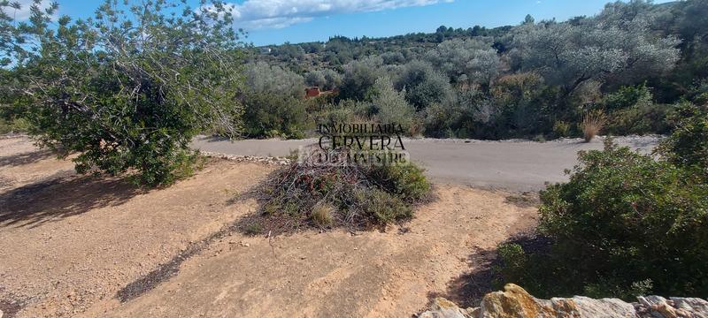 Foto f41c27fc-0407-4416-bab8-9baa2ce88b09. Rural plot in Casco Urbano Vinaròs