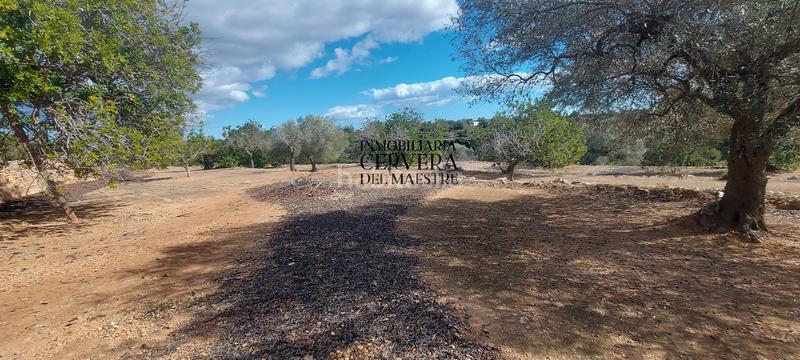 Foto fb3c81a6-be43-415c-b993-5ba49a4bd4f1. Rural plot in Casco Urbano Vinaròs