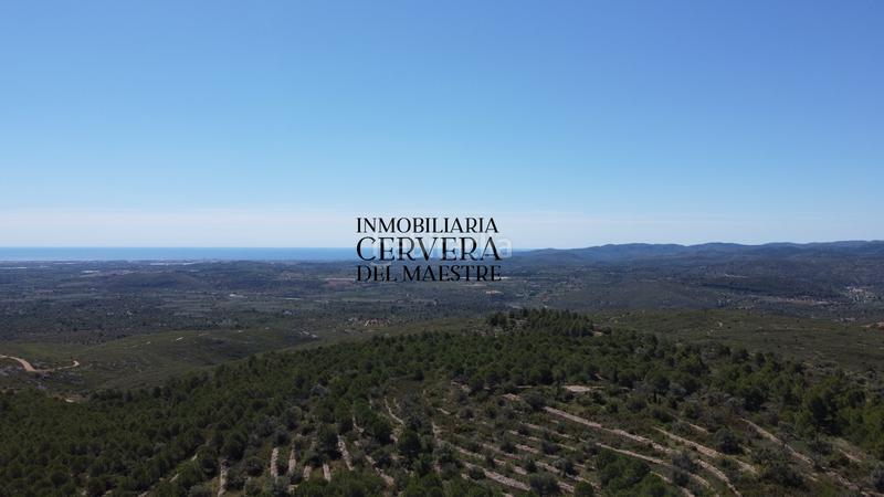 Foto 1268c278-3acc-49c8-ba1f-cf56aa874aac. Finca rústica a Cervera del Maestre
