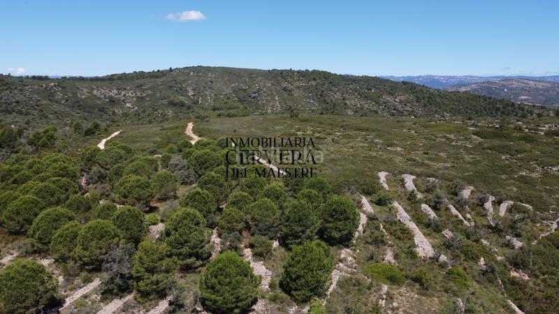 Foto 1c6f30b8-b49c-433a-b97f-ff05e014fb6a. Finca rústica a Cervera del Maestre