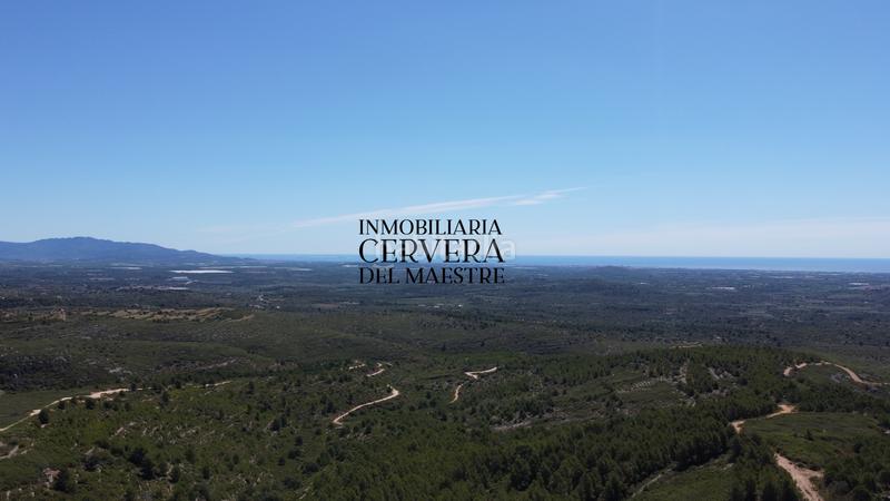 Foto 3633a1c6-c2fa-43ad-bef3-b4072a8ead29. Finca rústica a Cervera del Maestre