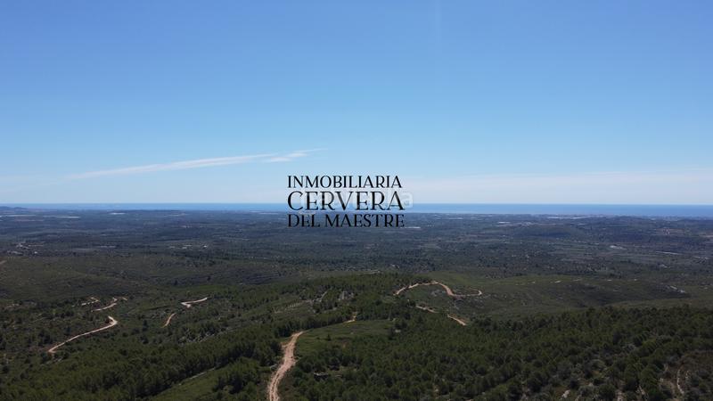 Foto 37ca953b-73f4-4302-b0b4-5bdaf886e76a. Finca rústica a Cervera del Maestre