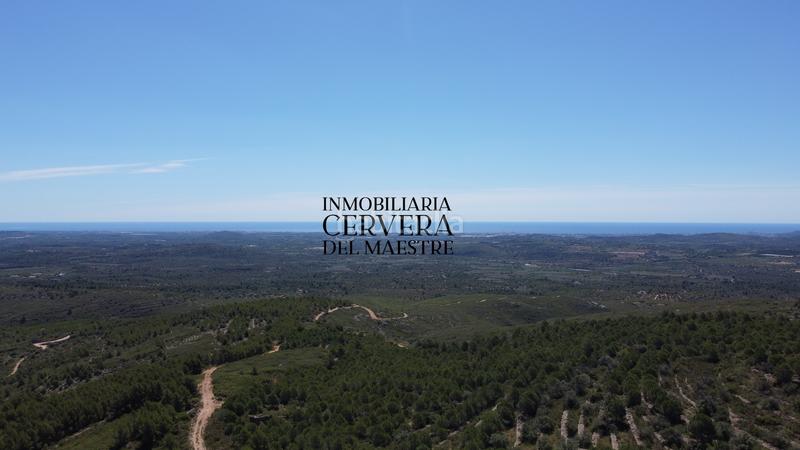 Foto 382dd78d-57d3-43d5-96d7-38fd3e3c6f7b. Finca rústica a Cervera del Maestre