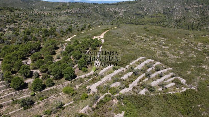 Foto 392f7beb-4204-41c6-a906-bce078c4066f. Finca rústica a Cervera del Maestre