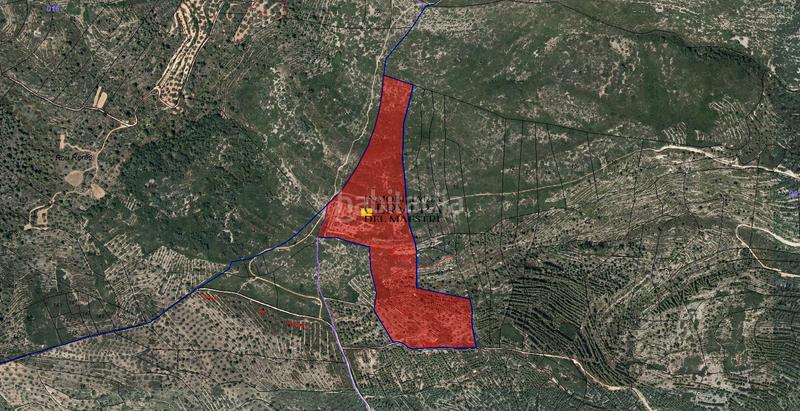 Foto 4128fb0e-2f05-4f54-9302-a13ef499f14c. Finca rústica a Cervera del Maestre