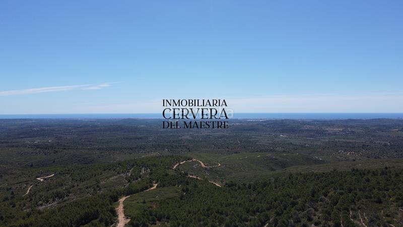 Foto 46a5e20f-abeb-4ffa-877d-318a4b3263c2. Finca rústica a Cervera del Maestre