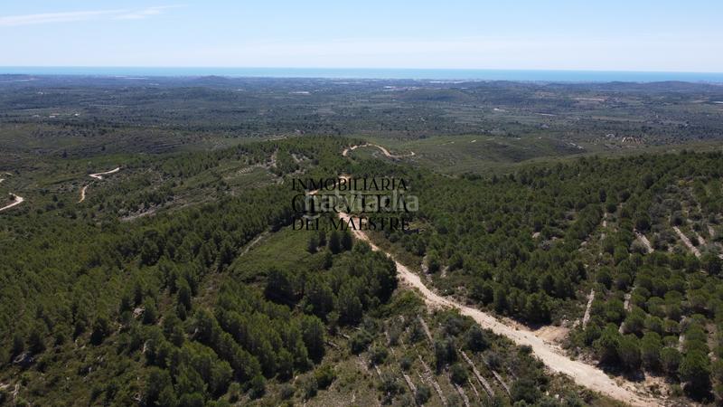 Foto 4fd5735b-273f-4889-953b-8167550a896d. Finca rústica a Cervera del Maestre