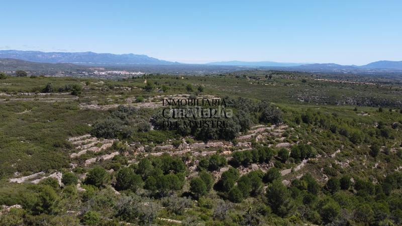 Foto 54bd375f-6703-4b4b-bebe-446067bf7e8d. Finca rústica a Cervera del Maestre