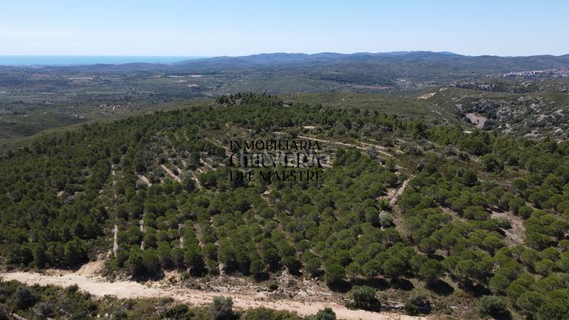 Foto 5a4609ce-b13c-4759-9075-d03812075ba7. Finca rústica a Cervera del Maestre