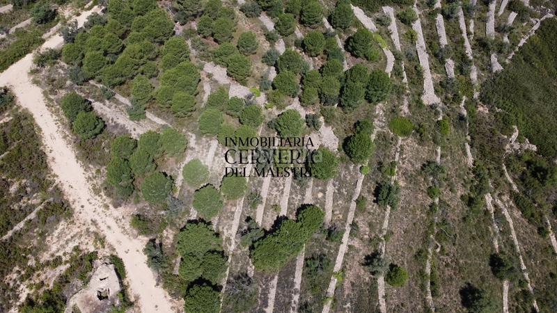 Foto 5eab08f2-563f-4d89-b399-c0c8b7f3776e. Finca rústica a Cervera del Maestre